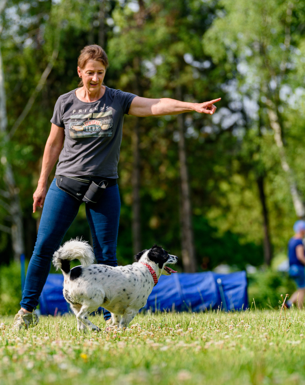 DISTANCE DIRECTING - HKTK