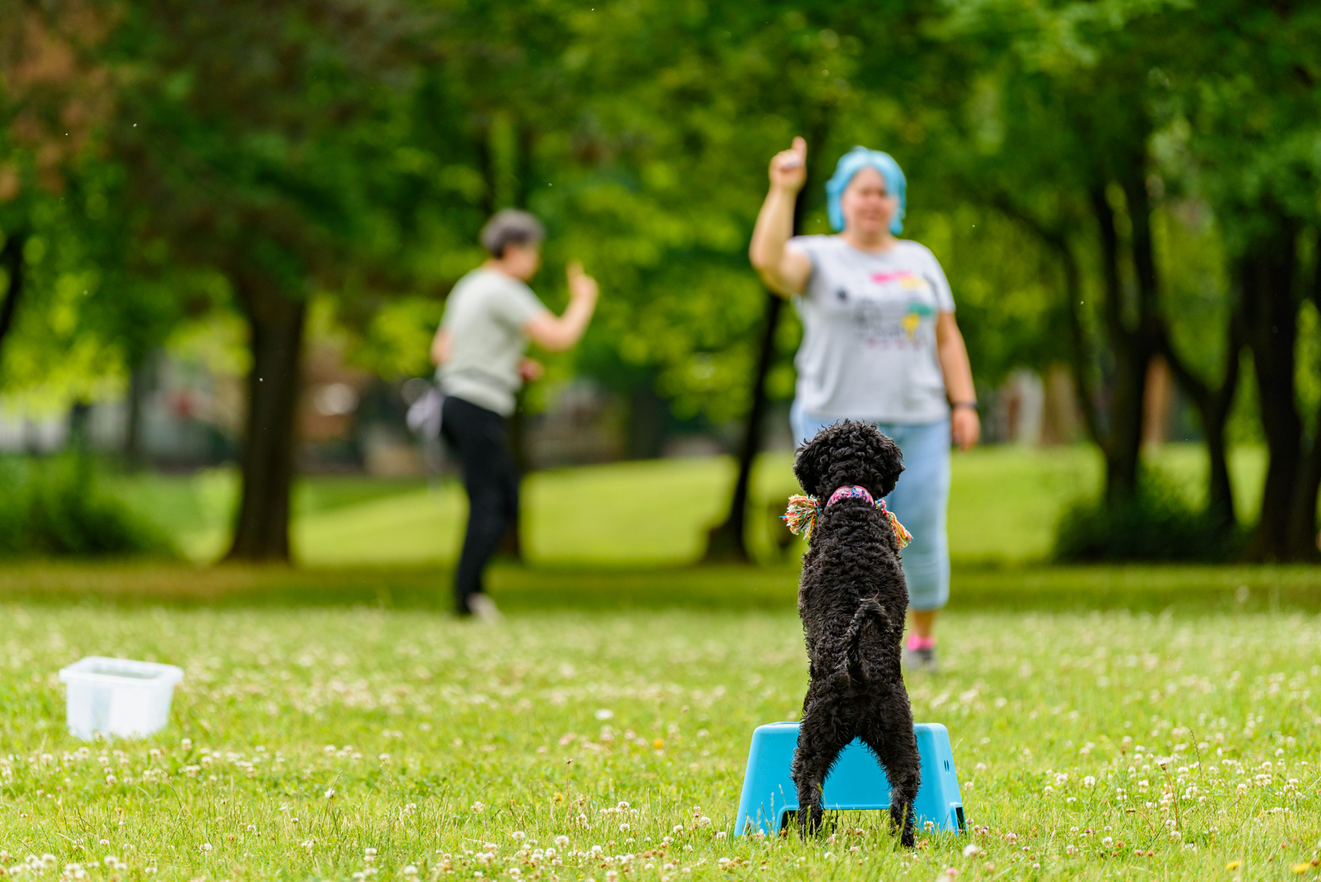 DISTANCE DIRECTING - HKTK